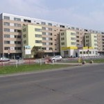 platan_01