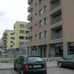 platan_02